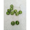 10 Wire Wrapped Green Disks